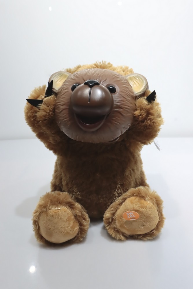 Spooky Bear